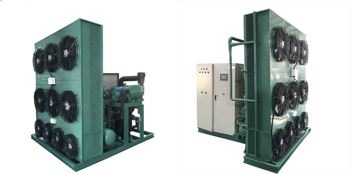 Bitzer Condensing يونٽ ٿڌو ڪمرو چين ٺاهيندڙ 3