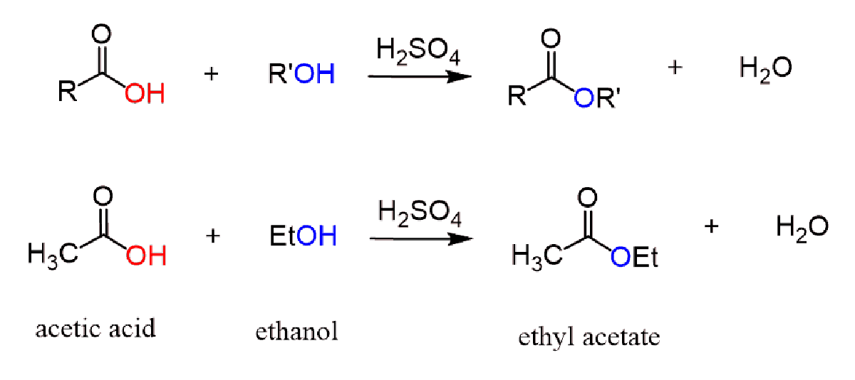 Fischer-esterification